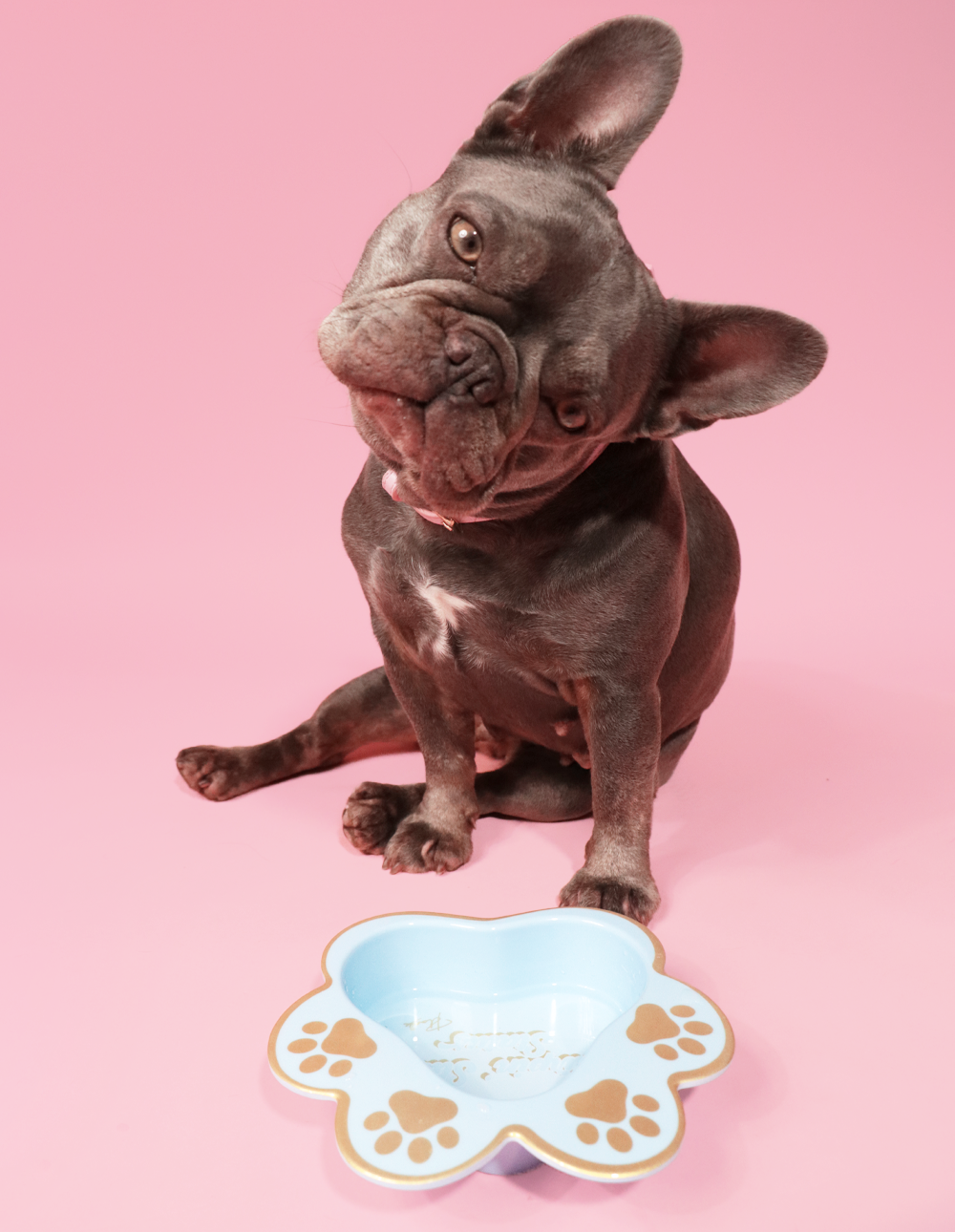 P.Louise Dog Bowl – P. Louise Cosmetics