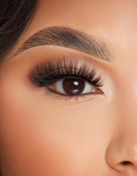 Lashes Lashed In Love