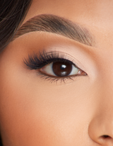 First Sight Cat Eye Vipper