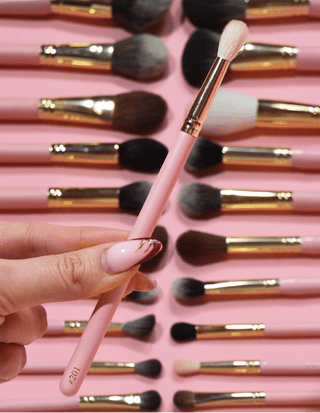 P.Louise #201 Brush Brush