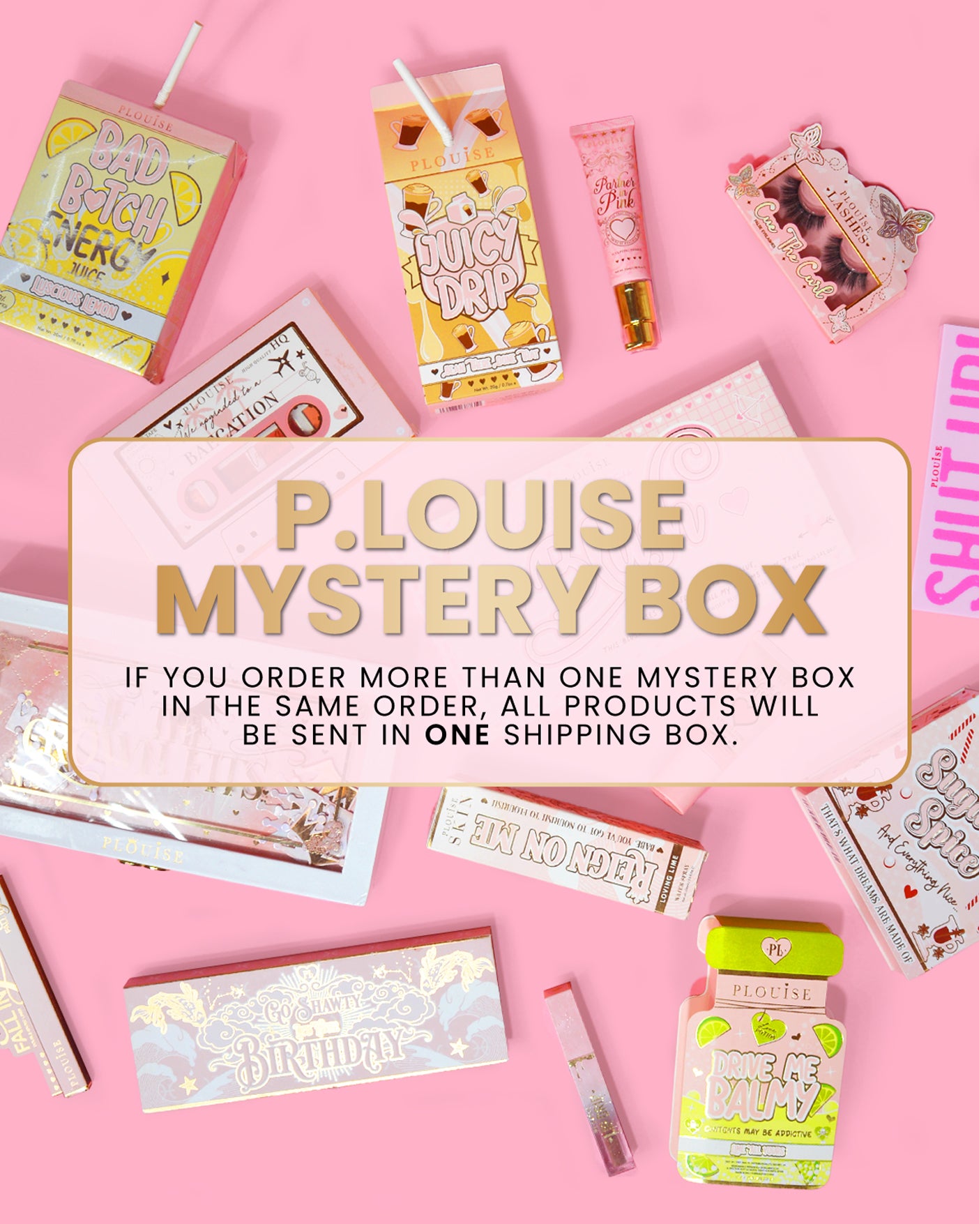 PLouise Mystery Bundle P. Louise Cosmetics