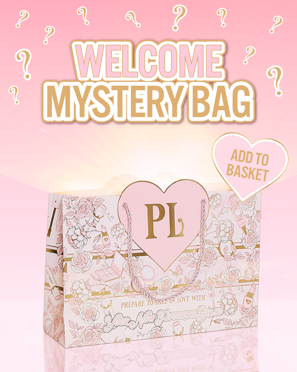 Welcome Mystery Bag