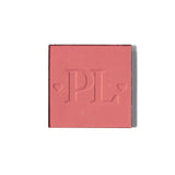 Pro magnetische enkele blusherpan
