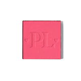 Pro magnetische enkele blusherpan