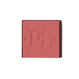 Pro magnetische enkele blusherpan
